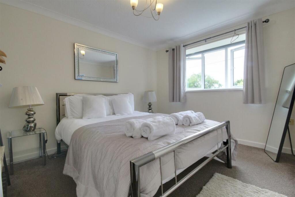 The Firs - Next To & Forest - Pets Are Free Apartment *